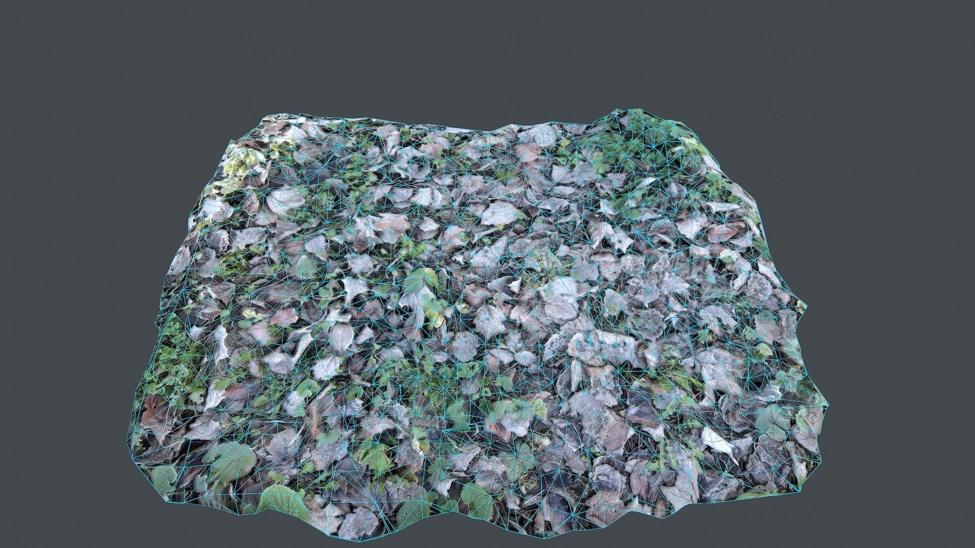 Smart Grounds Photoscanned  Low-poly 3D model_10