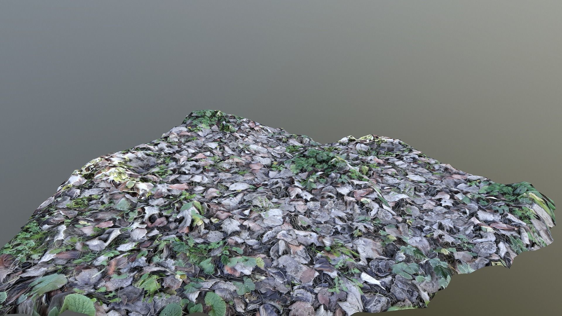 Smart Grounds Photoscanned  Low-poly 3D model_8