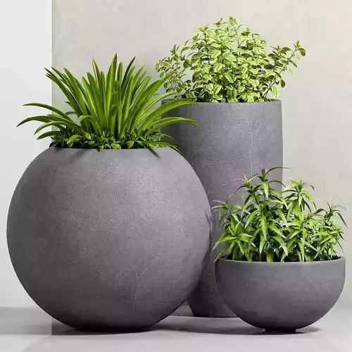 Decorative plant set-33