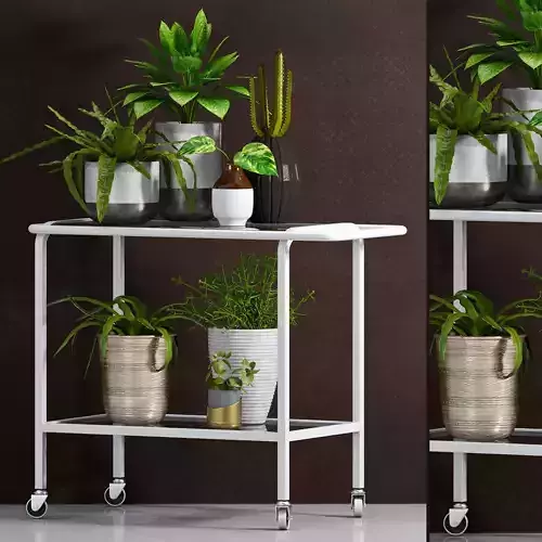 Decorative plant set-36