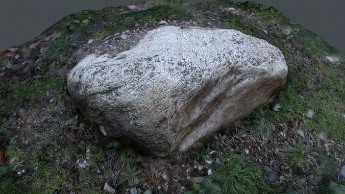 Side rock  Photoscanned pbr 3LOD Low-poly 3D model