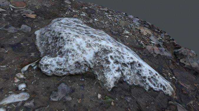 Ground stone photoscanned Low-poly 3D model
