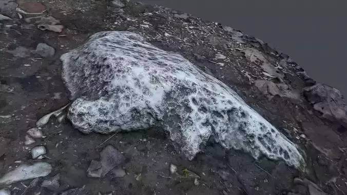 Ground stone photoscanned Low-poly 3D model