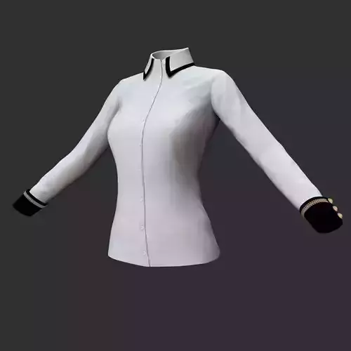 Blouse shirt with sleeves 3D model