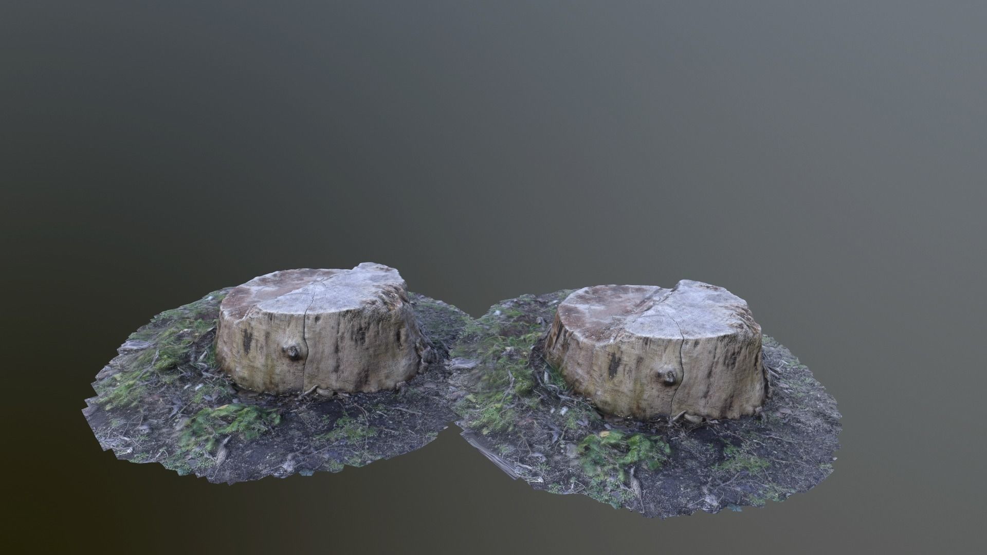 Tree stump Photo scanned lowpolly Low-poly 3D model_4