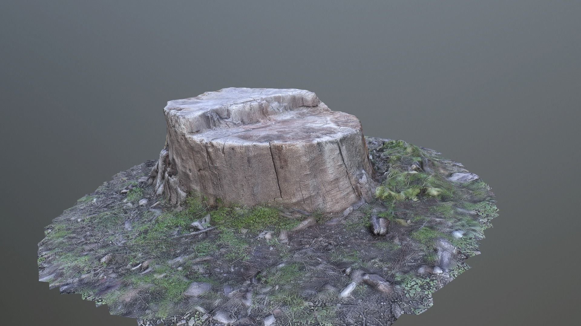 Tree stump Photo scanned lowpolly Low-poly 3D model_1