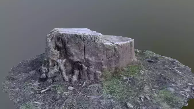 Tree stump Photo scanned lowpolly Low-poly 3D model