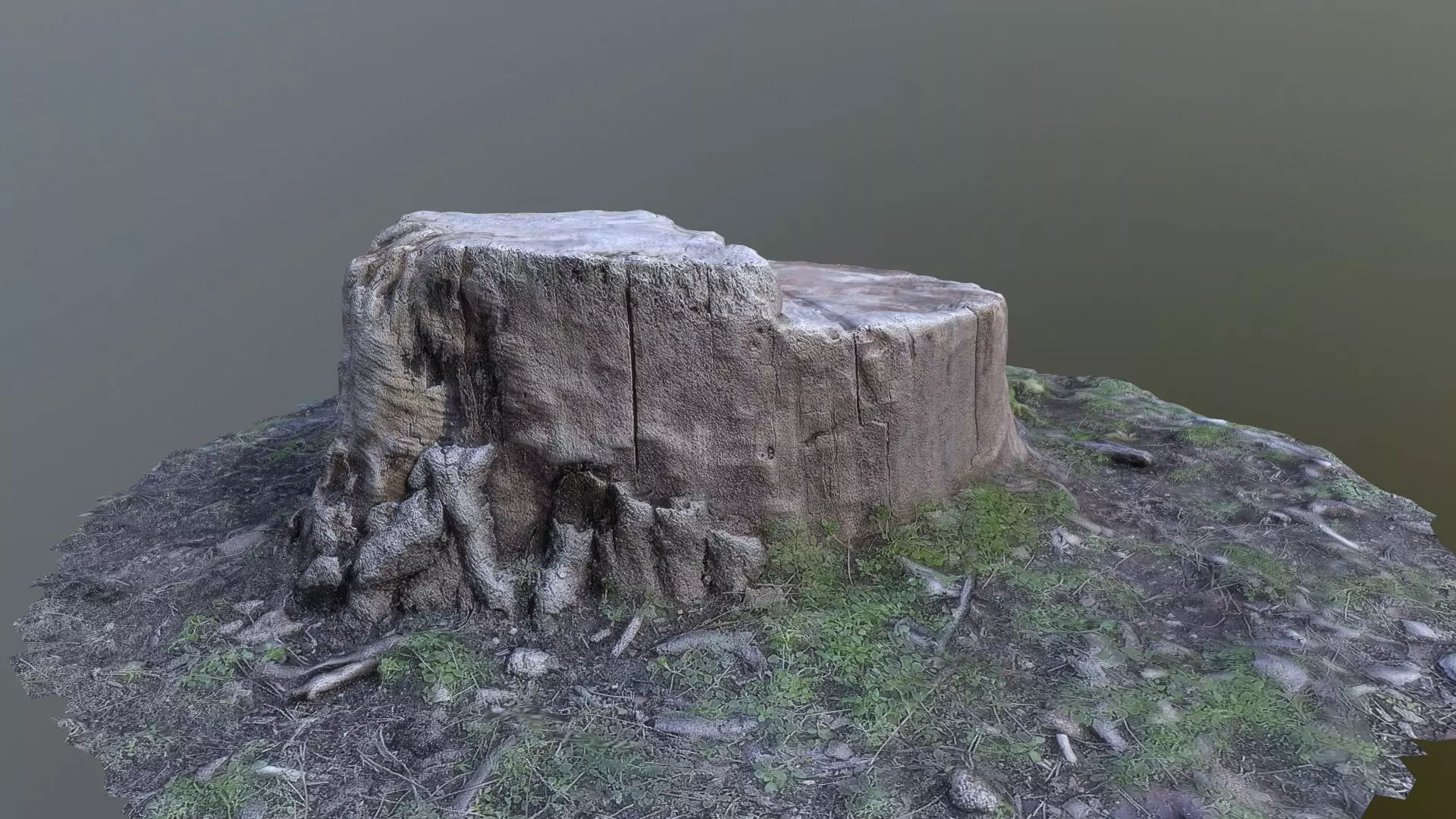 Tree stump Photo scanned lowpolly Low-poly 3D model_0