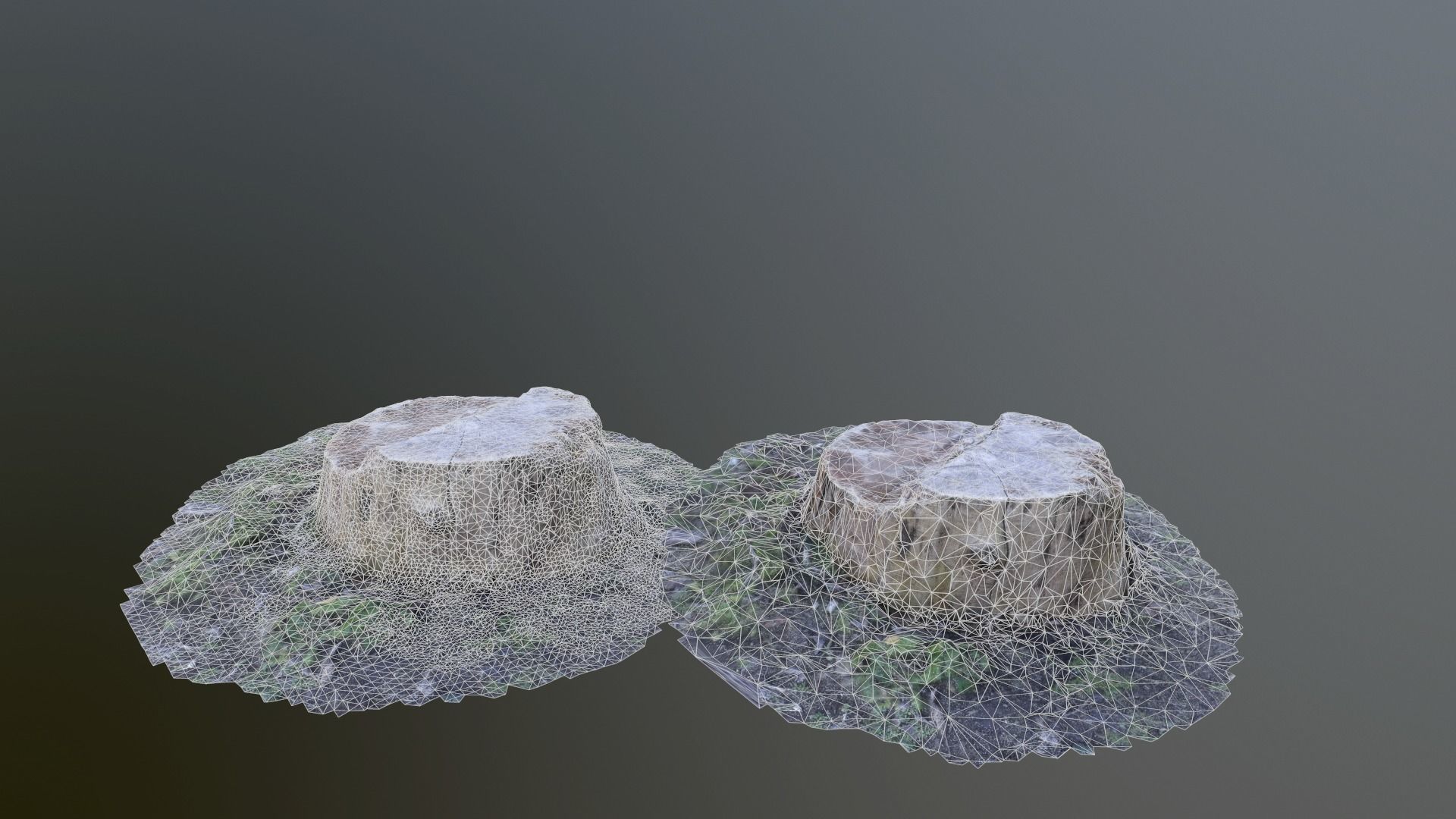Tree stump Photo scanned lowpolly Low-poly 3D model_5