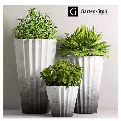 Decorative plant set-37