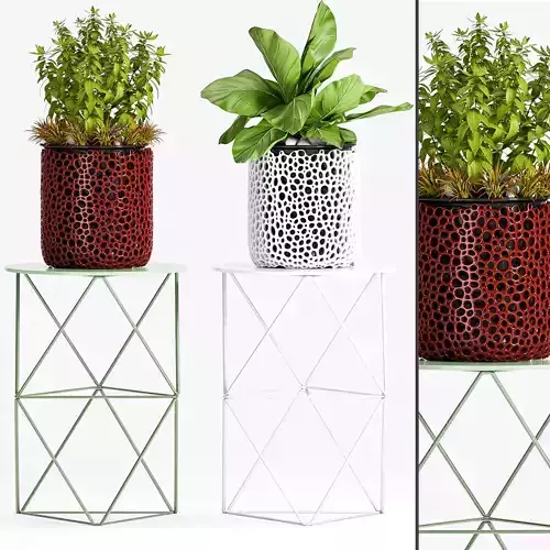 Decorative plant set-38