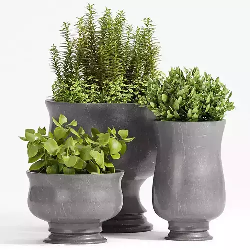 Decorative plant set-39