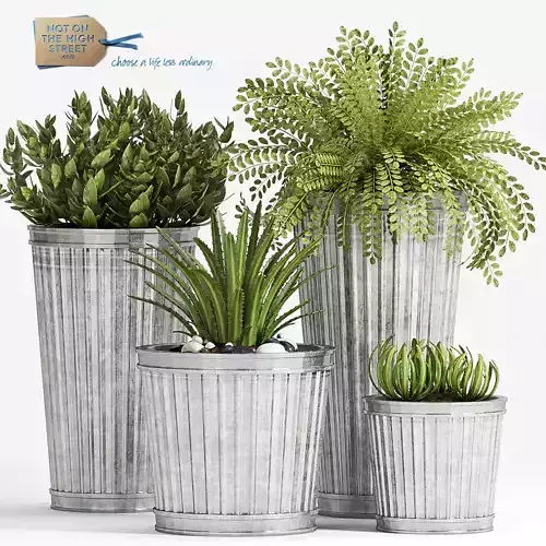 Decorative plant set-43 3D model