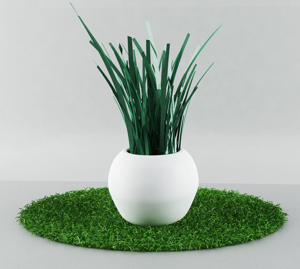 garden plants Free low-poly 3D model_4