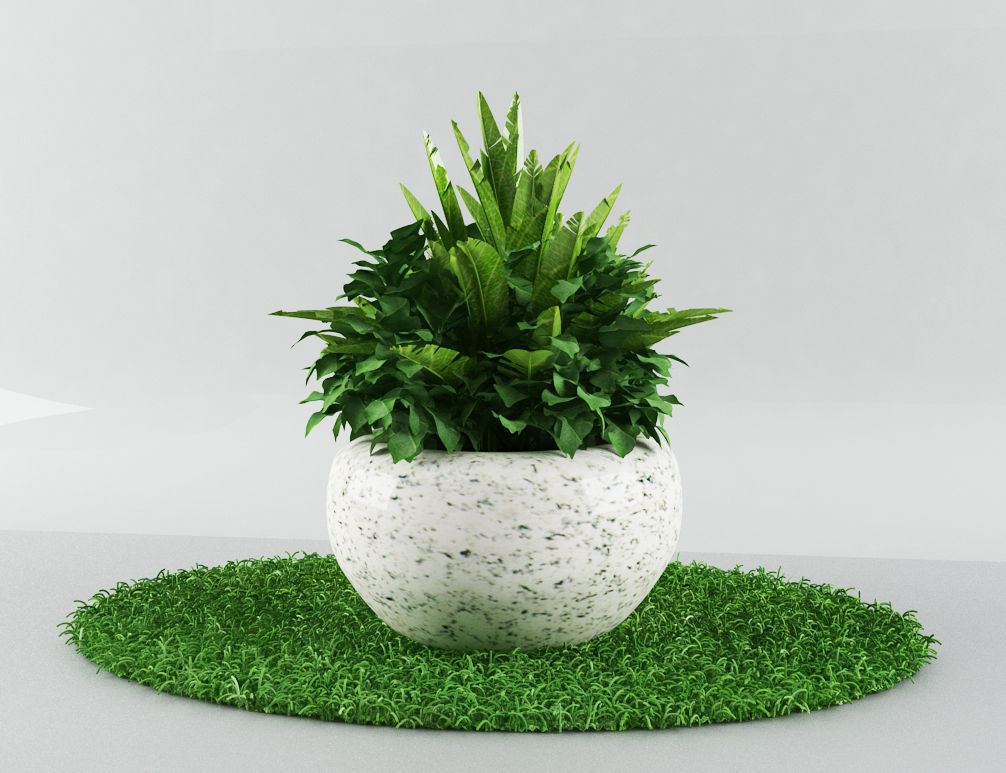 garden plants Free low-poly 3D model_3