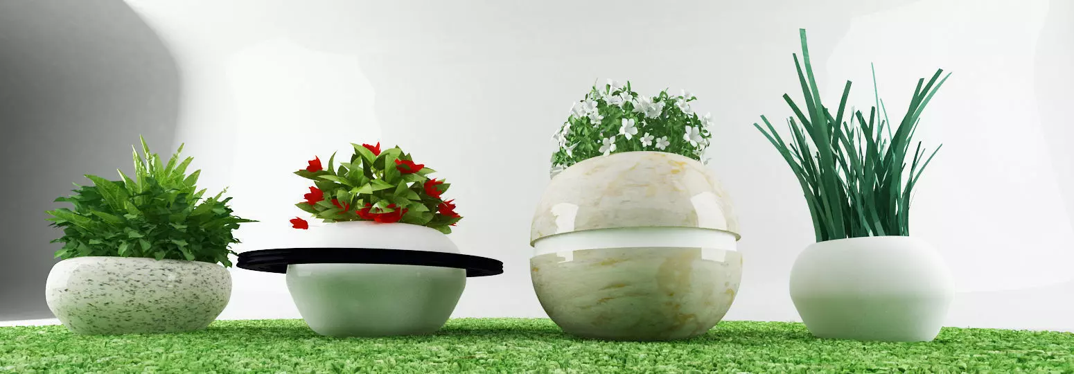 garden plants Free low-poly 3D model_0