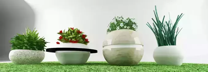 garden plants Free low-poly 3D model