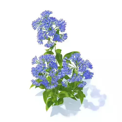 Bellflower 3D Model flowers 3D model