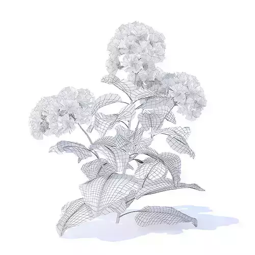Thistle 3D Model plant