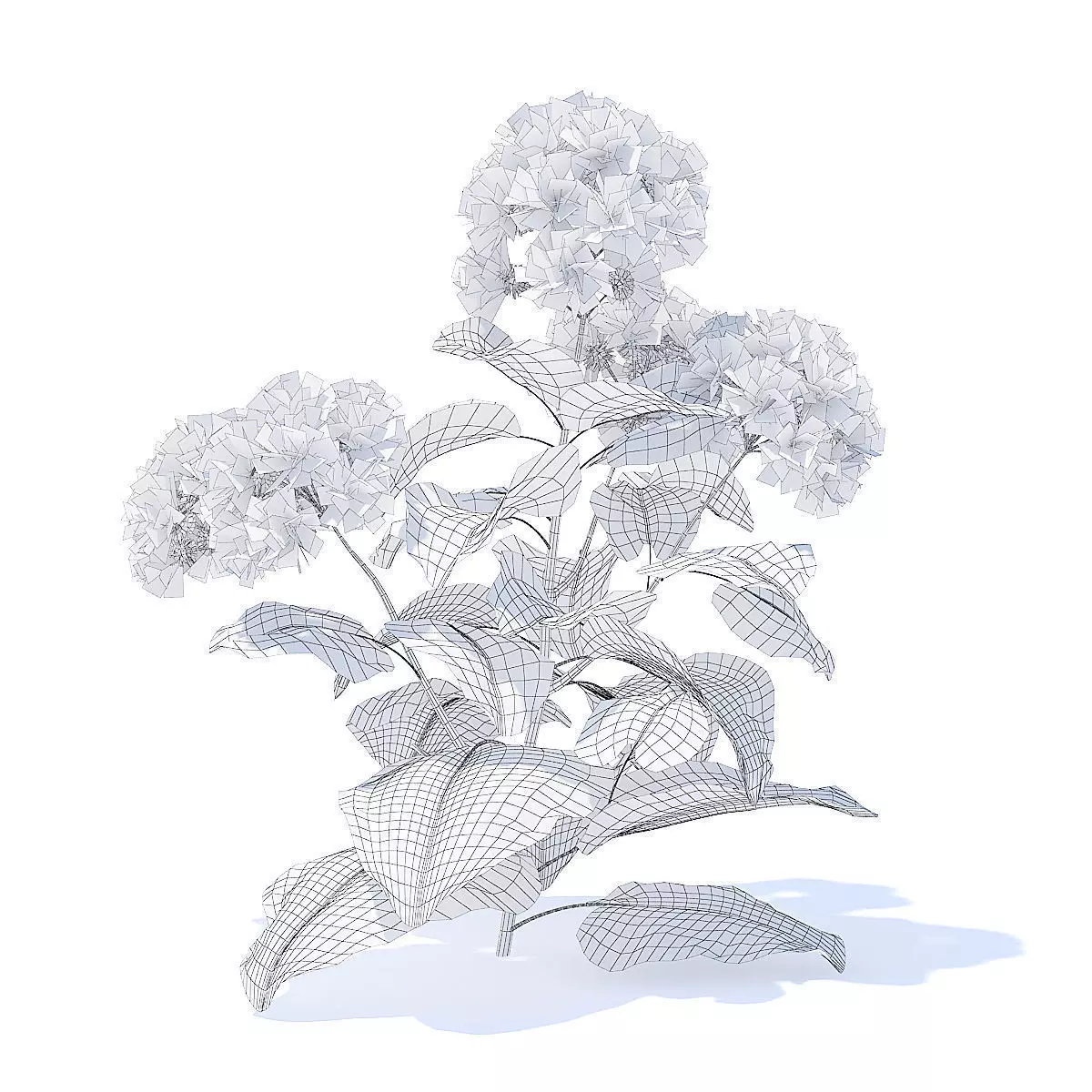 Thistle 3D Model plant 3D model_5