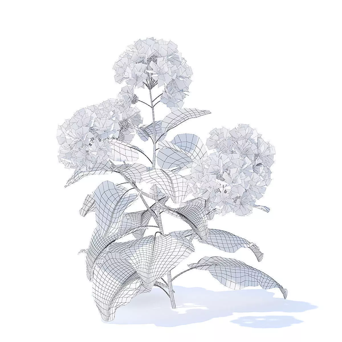 Thistle 3D Model plant 3D model_2