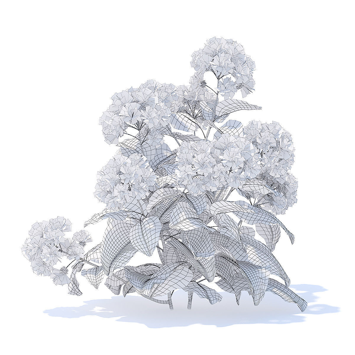Thistle 3D Model flower 3D model_4