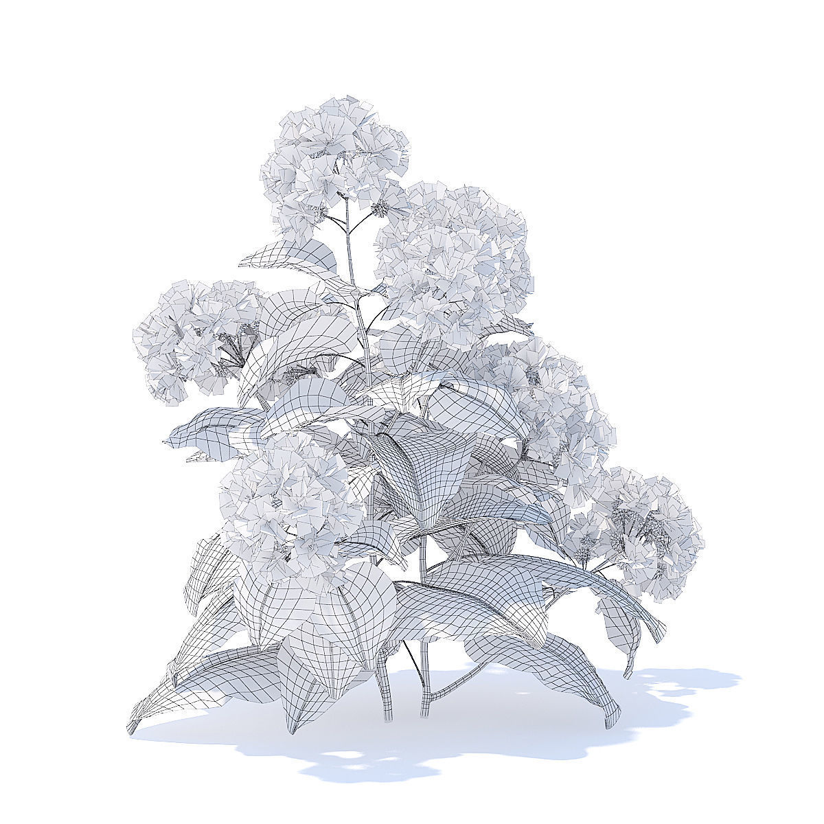 Thistle 3D Model flower 3D model_5
