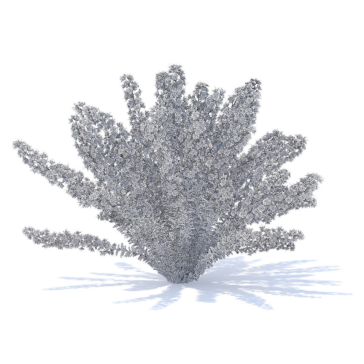 Heather 3D Model hibiscus 3D model_4