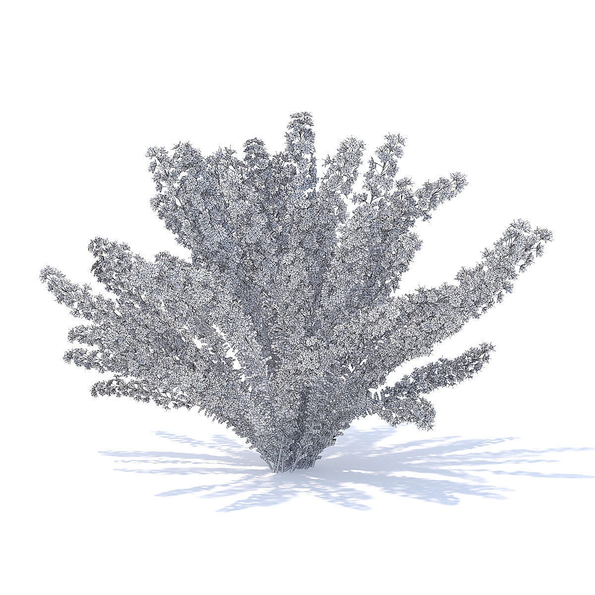 Heather 3D Model hibiscus 3D model_5