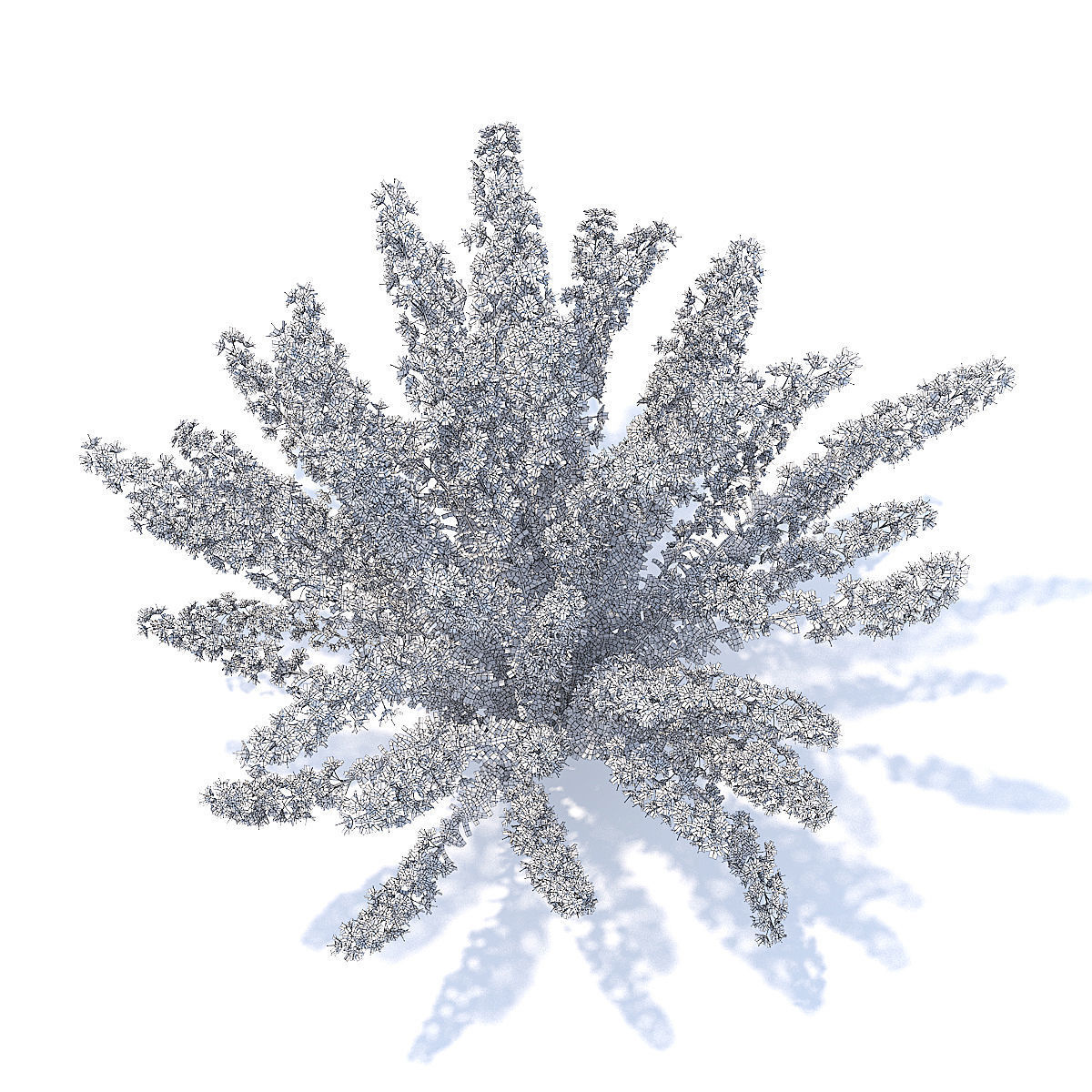 Heather 3D Model hibiscus 3D model_3