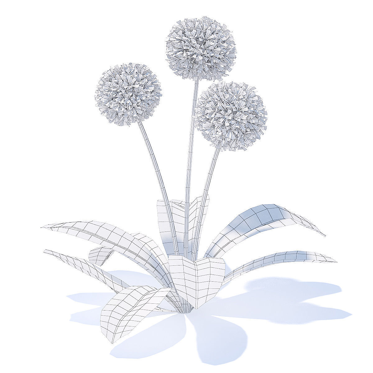 Sow-thistle 3D Model three dandelions 3D model_5
