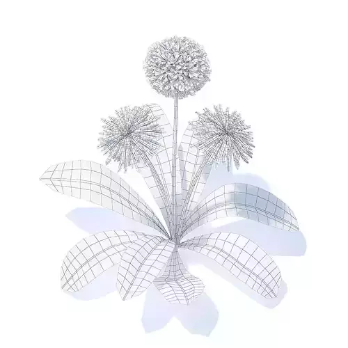 Sow-thistle 3D Model three dandelions