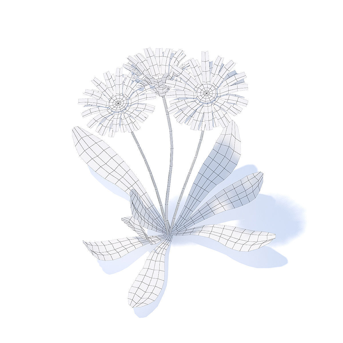 Daisies 3D Model three 3D model_3