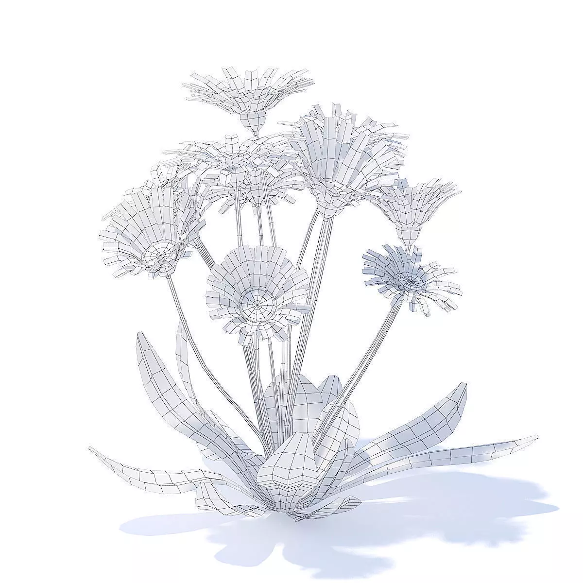 Daisies 3D Model 3D model_2