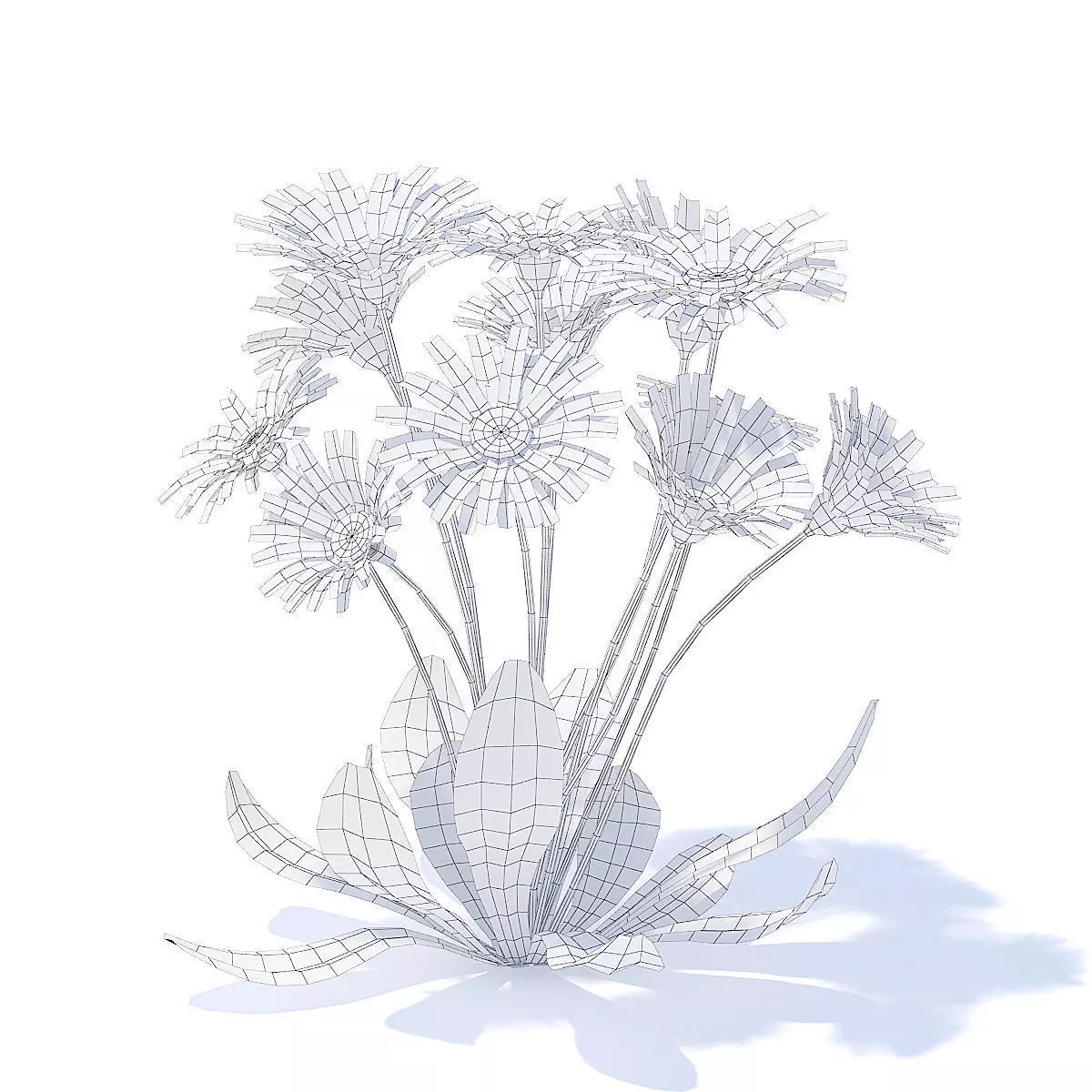 Daisies 3D Model 3D model_5