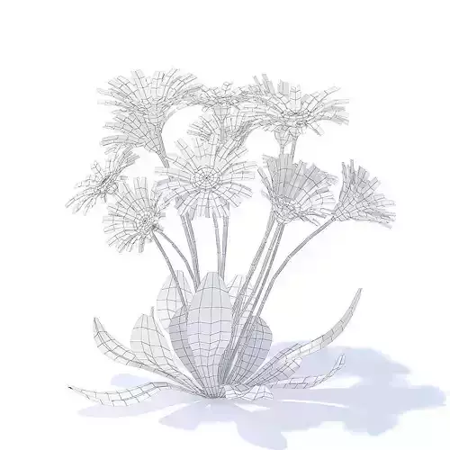 Daisies 3D Model