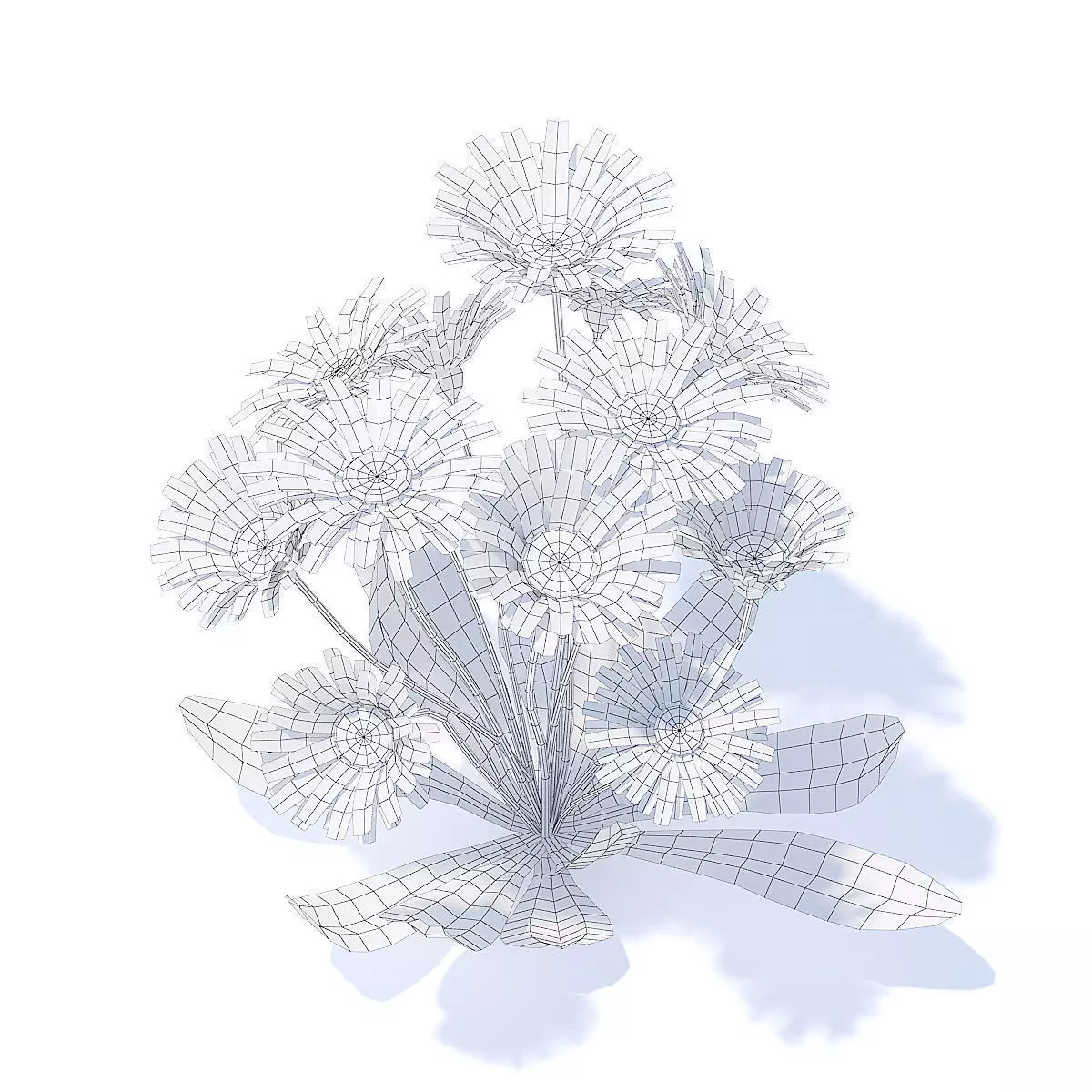 Daisies 3D Model 3D model_3