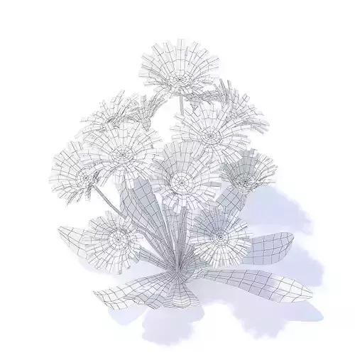 Daisies 3D Model