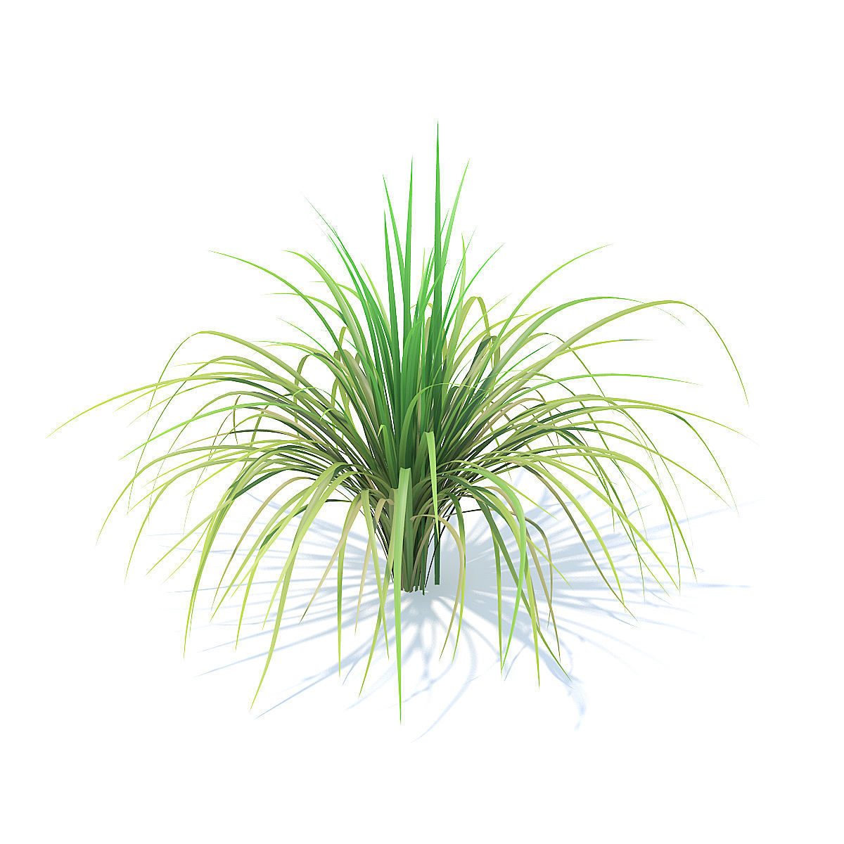 Tall Grass 3D Model 3D model_2