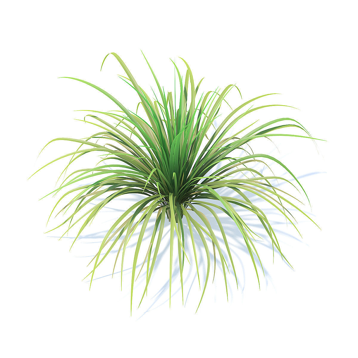 Tall Grass 3D Model 3D model_1