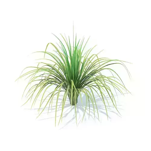 Tall Grass 3D Model
