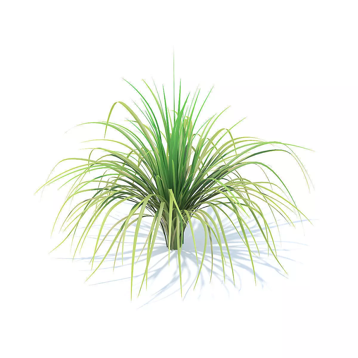 Tall Grass 3D Model 3D model_0