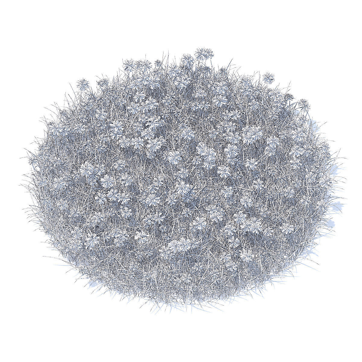 Grass with Cornflowers 3D Model 3D model_4