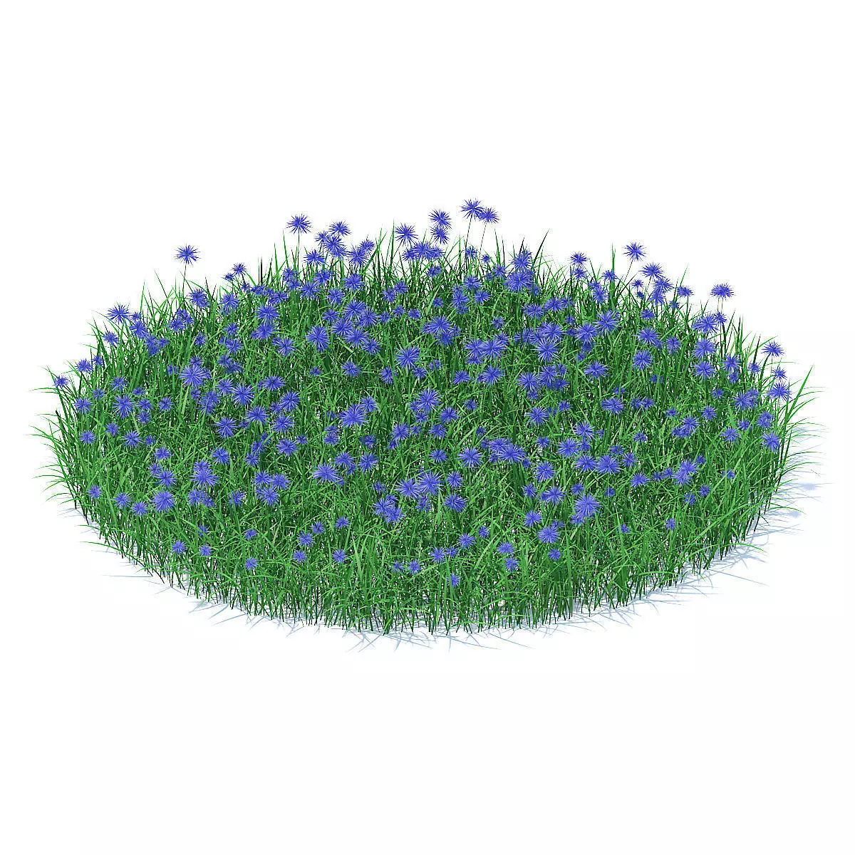 Grass with Cornflowers 3D Model 3D model_0