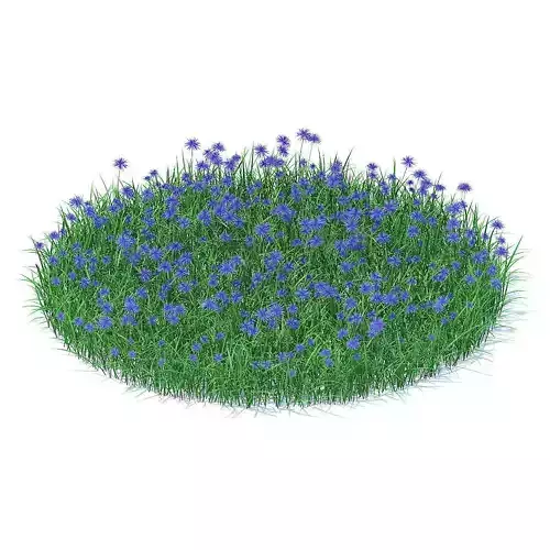 Grass with Cornflowers 3D Model