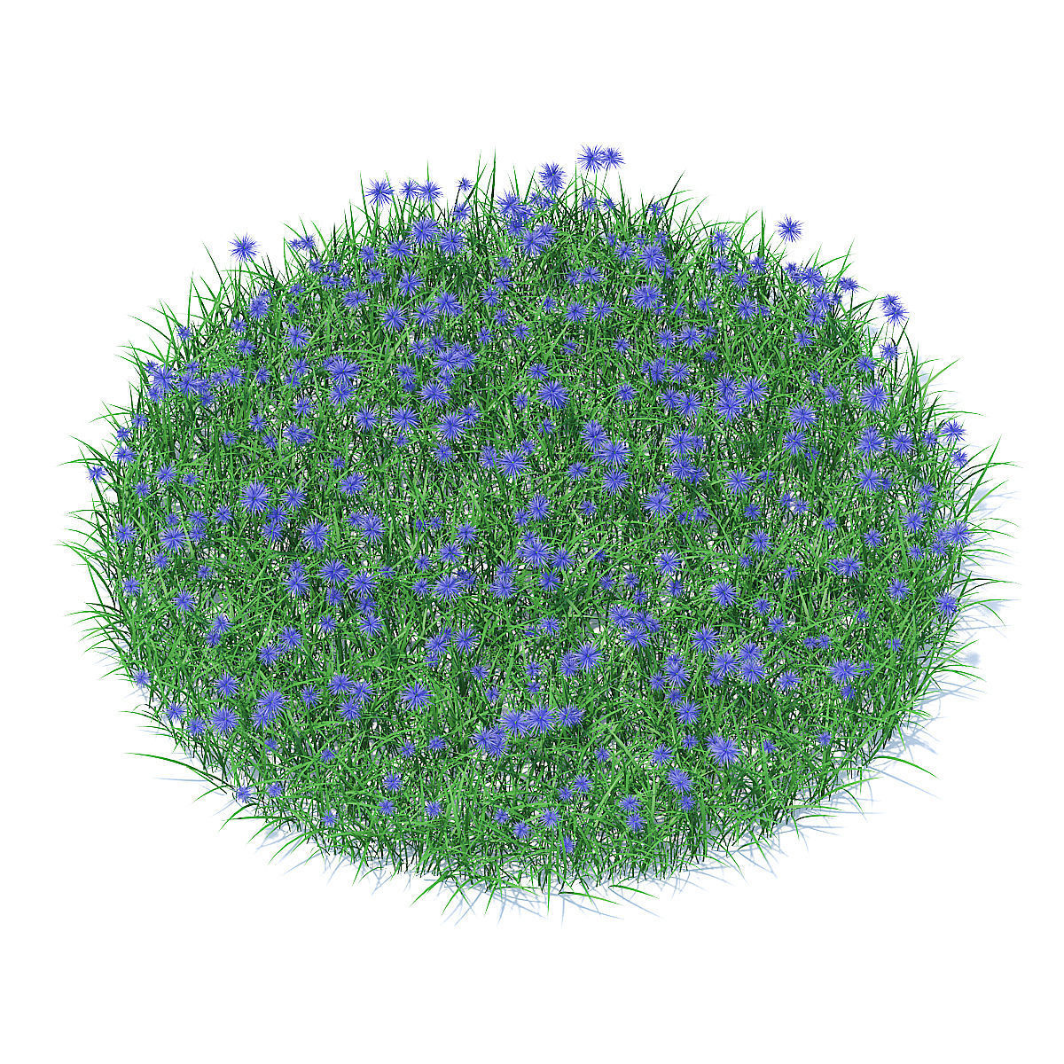 Grass with Cornflowers 3D Model 3D model_1