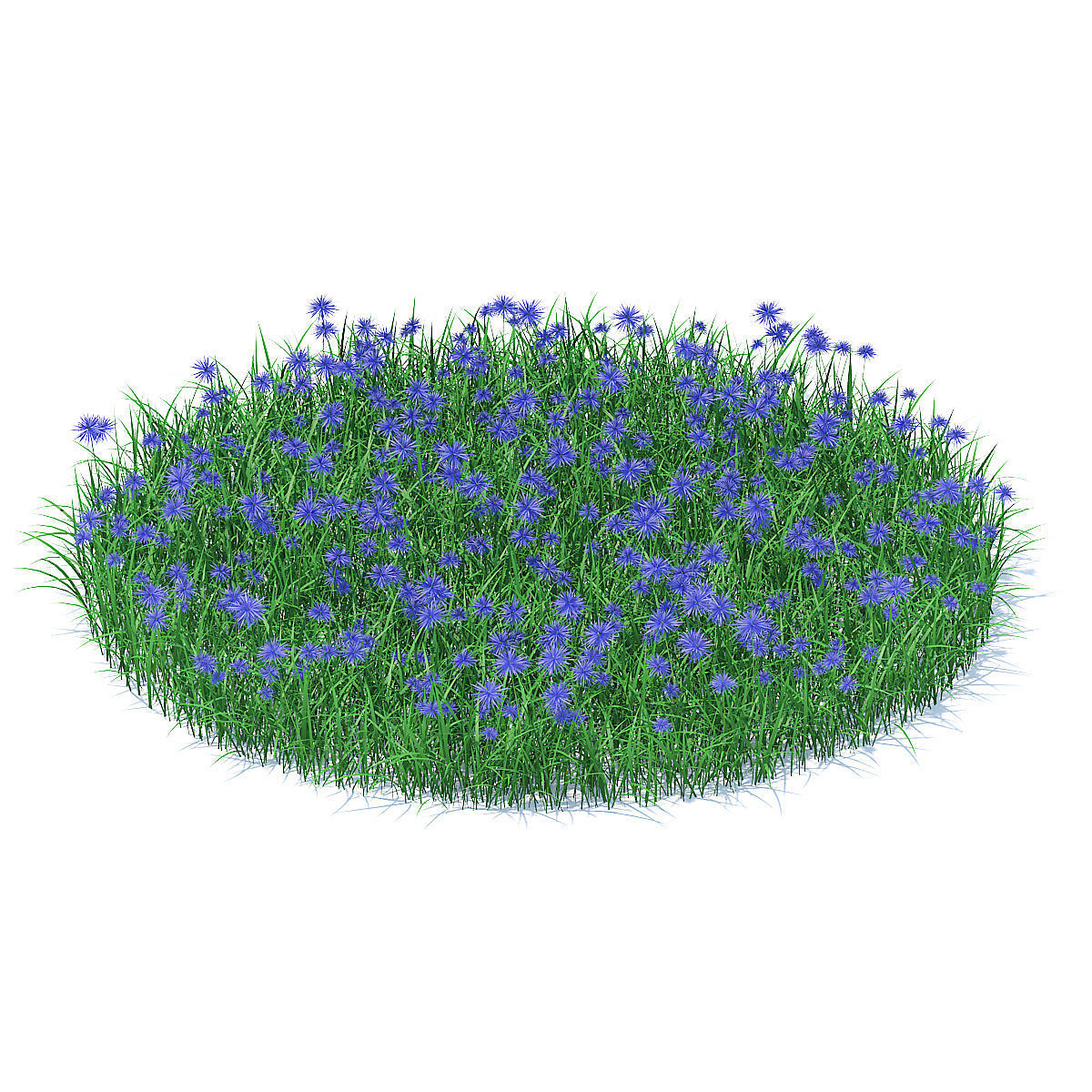 Grass with Cornflowers 3D Model 3D model_2