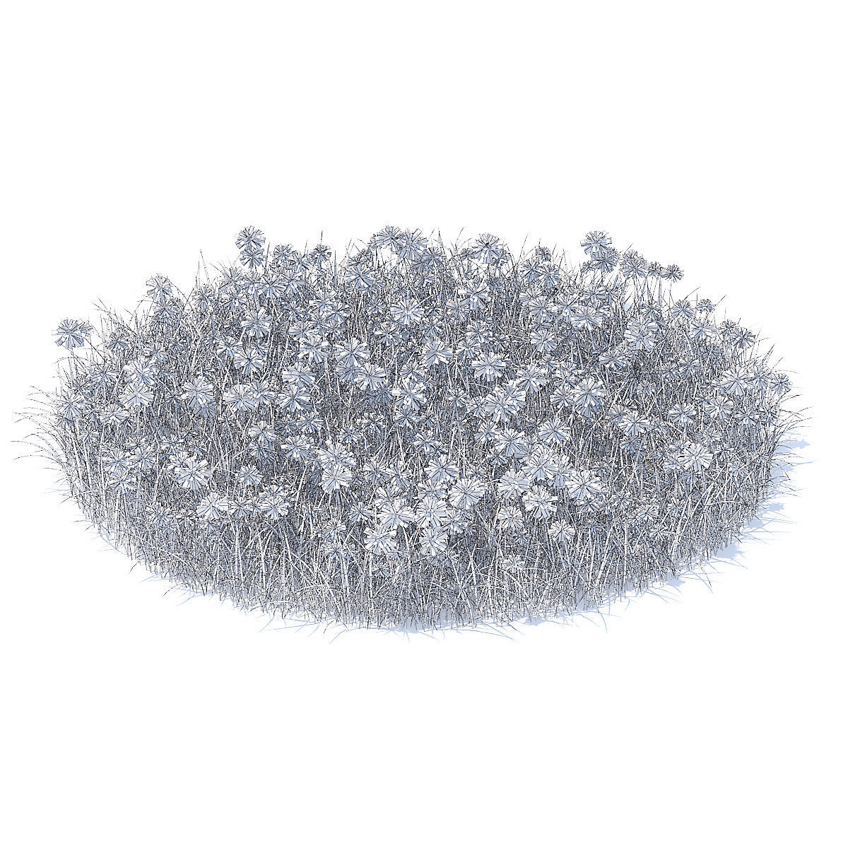 Grass with Cornflowers 3D Model 3D model_5