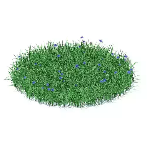 Grass with Cornflowers 3D Model 3D model