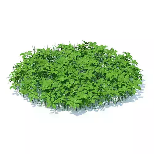 Grass with Plants 3D Model
